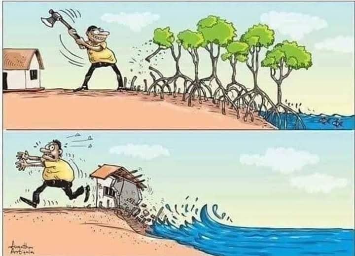 DzBDAyZUYAAD1q3.jpg:large