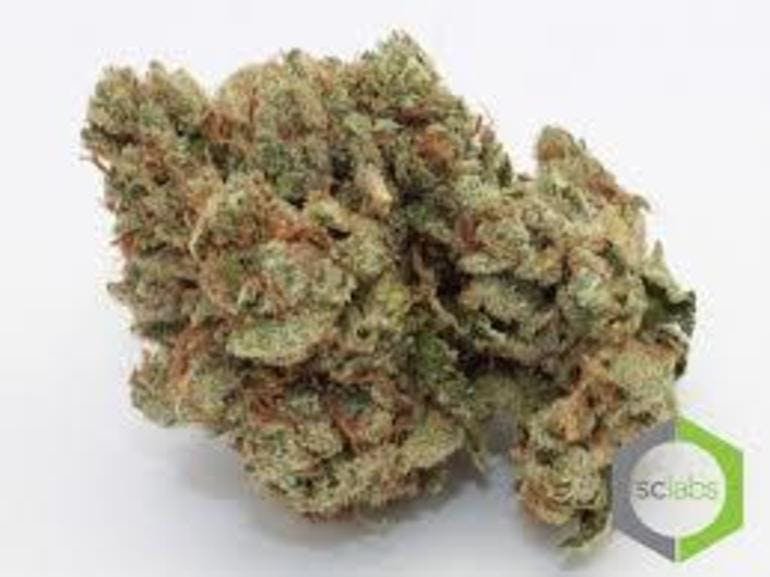 LaVated's tweet photo. Haven't tried our DeadHead OG? What are you still waiting for? This is the perfect Indica for these rainy days ♥ #Weedmaps #SCLabtested #Cannabis #LAVated #Inglewood #Manchester #Marijuana #CannabisCulture https://t.co/t3Q4Rgt8RU