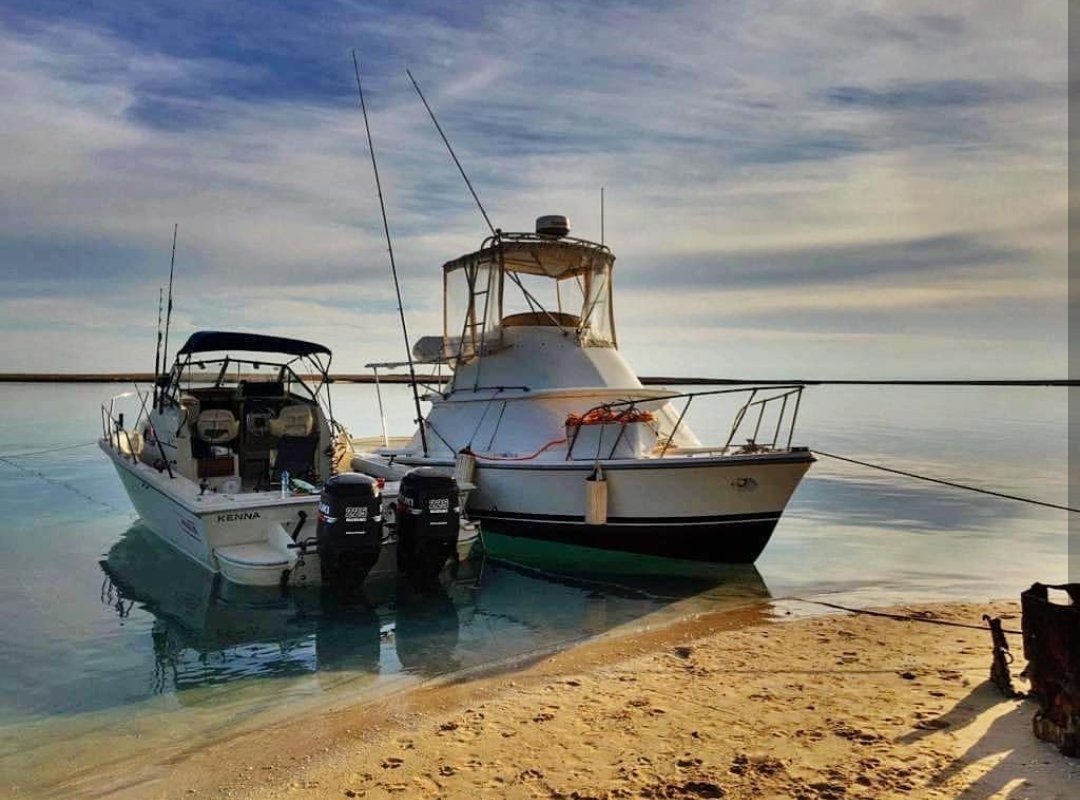 Waking up to this beauty in the middle of winter is a blessing!! 
.
.
#egypt #thisisegypt #beautifuldestinations #RedSea #fishing #bostonwhaler #bertram31 #classicboat