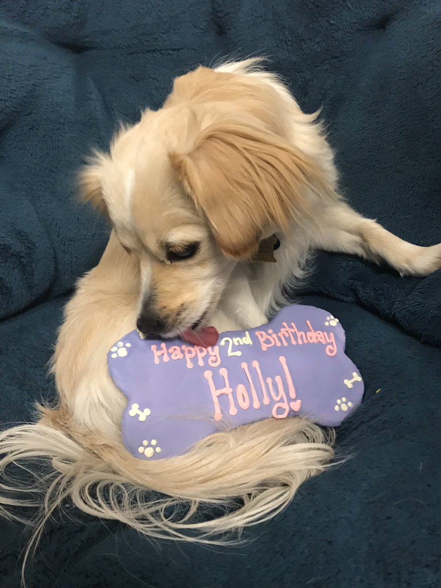 Haileybejsovec's tweet photo. Happy second birthday baby girl ❤️ https://t.co/hsosnIHhGB