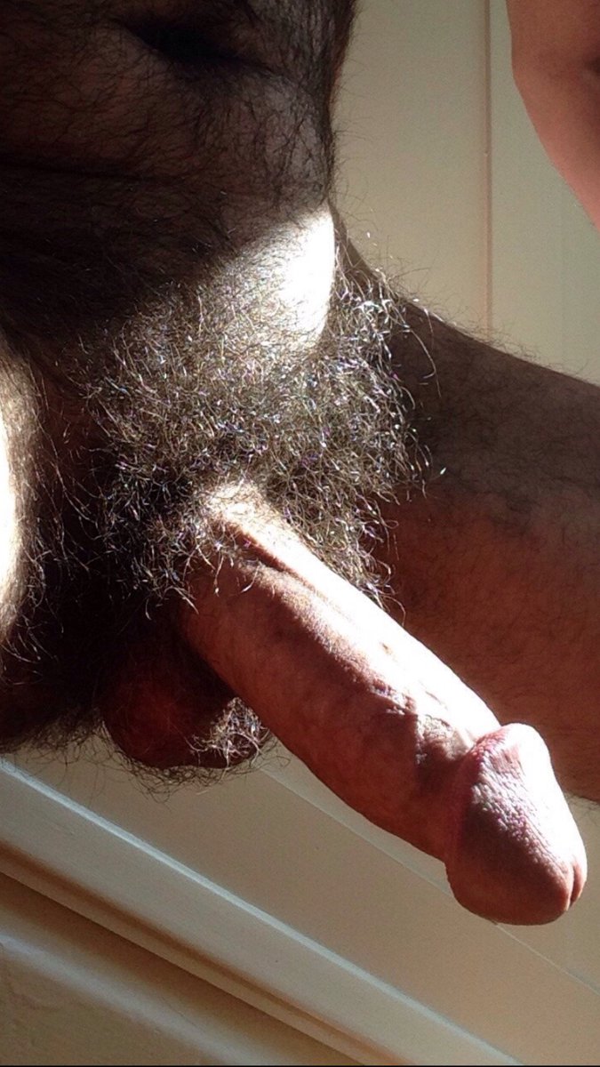 #hairydick. #vergapeluda. #pentelhudo. pic.twitter.com/odebcDpmyx. #hairy. 