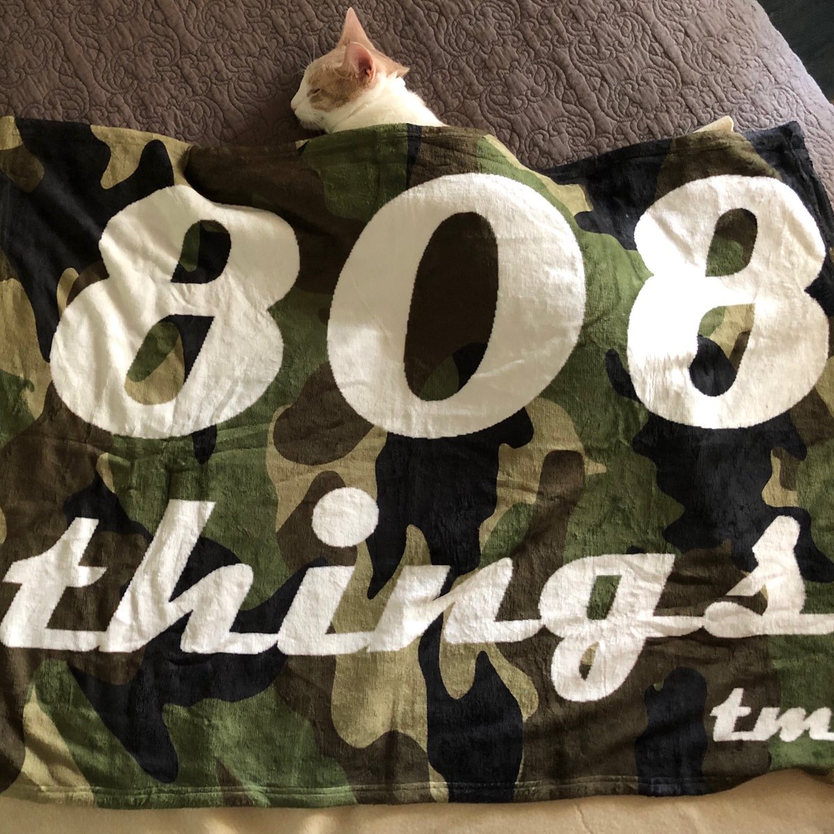 808things's tweet photo. #Aloha #Hawaii! Get your blanket out for tonight! #HawaiiWeather #Cold #HiNews #808things 今夜の #ハワイ は冷えます。#ブランケット の用意をしましょう。#アロハ #天気予報 #エイトオーエイトシングス #World https://t.co/PzFnFtBgVw