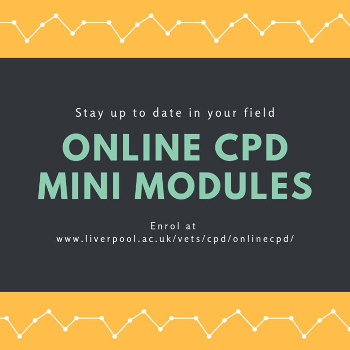 LivPGvets's tweet photo. These 100% online modules will provide you with 25 hours designated postgraduate CPD
- Small Animal Medicine
- Small Animal Surgery
- Equine Orthopaedics
- Equine Medicine
#cpdvets #smallanimalvet #equinevet #firstopinionpractice #cpd2019 https://t.co/PGeh1nBJws #veterinarycpd https://t.co/5I56XyPSi7
