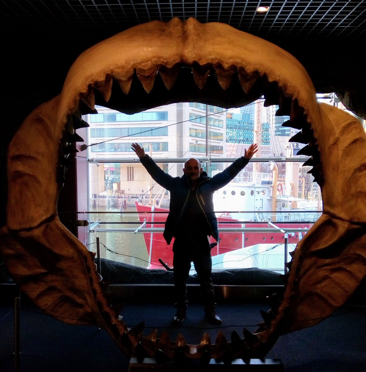 daudet_n's tweet photo. Great to be with the lab at #ARO2019 in Baltimore to hear about latest developments in the field. Contemplating jellyfish as next model organism for ciliated cell biology... but we're going to need a bigger boat!🦈🦈🦈 https://t.co/h0dPXqlQuw