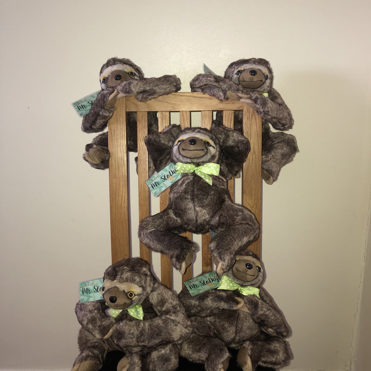 zacstributefund's tweet photo. Another bunch of Slothies on their way....thanks Holly, Cheryl, Bev &amp; Cathy see you soon 💚💚 @RMCHcharity #slothsunite #mrslothy #teamzac #charity #cbtrn https://t.co/bc7uDtAg77