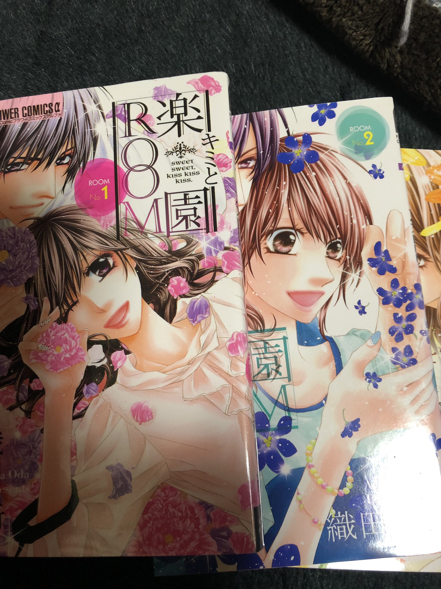 キミと楽園room Twitter Search Twitter