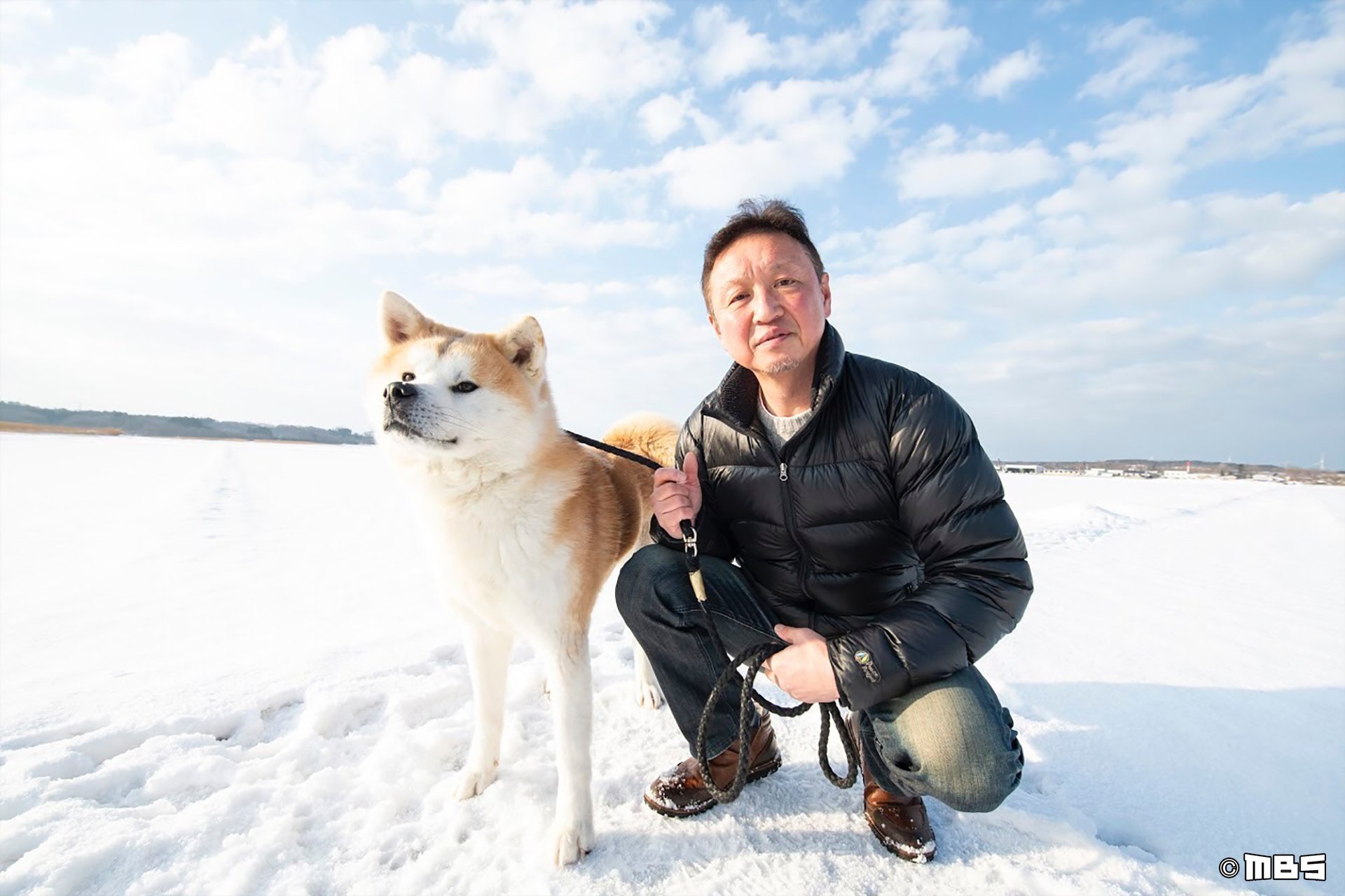 情熱大陸 今夜は忠犬ハチ公でもおなじみ 凛々しい表情が印象的な秋田犬を育てるトップブリーダーに密着しました 秋田犬の展覧会で数々の賞を受賞している本瀬純一さん トップに輝くその飼育法とは 夜１１時から 情熱大陸 Mbs Tbs 本瀬純一 秋田犬