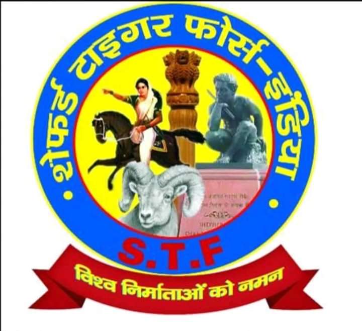 Shepherd Tiger Force India tweet media