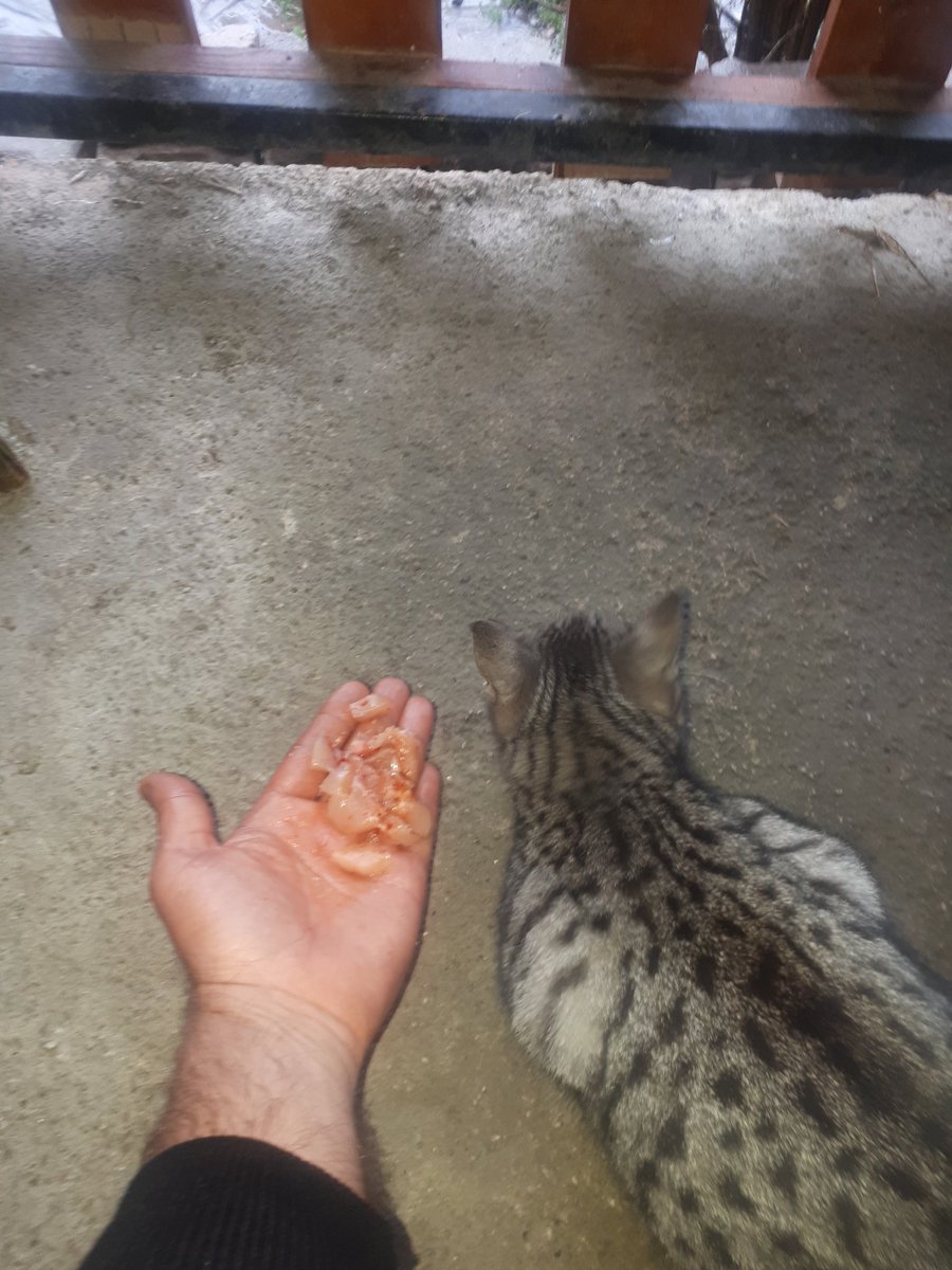 Mutlu huzurlu pazarlar.😊🙈🌹AHSOOO..