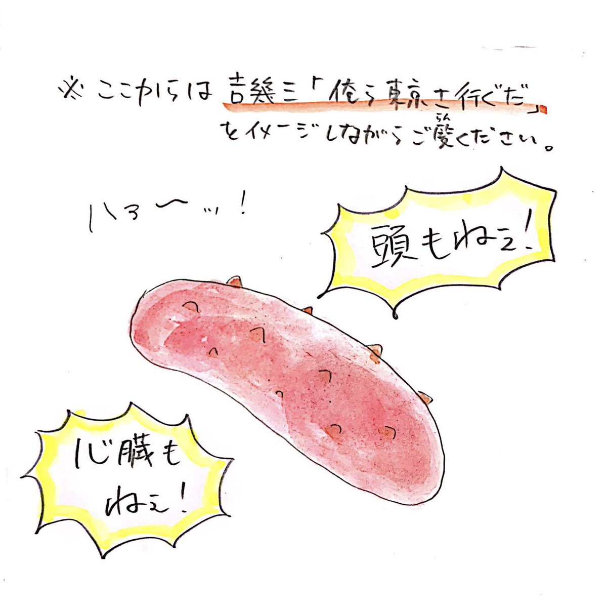川田 一輝 ナマコは危険を感じると肛門から腸を吐き出す 敵がその腸を食べてる間に逃げる 腸はまた自然に治る ナマコすごい さかなのおにいさん ナマコ 川田 一輝 ナマコは危険を感じると肛門から腸を吐き出す 敵がその腸を食べてる間に逃げる 腸はまた自然に治る ナマコすごい さかなのおにいさん ナマコ
