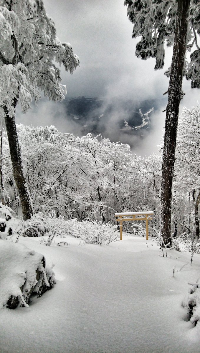 mankyu320's tweet image. 里山は良い。