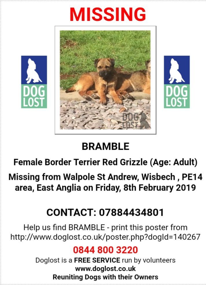 Missing Pets GB tweet media