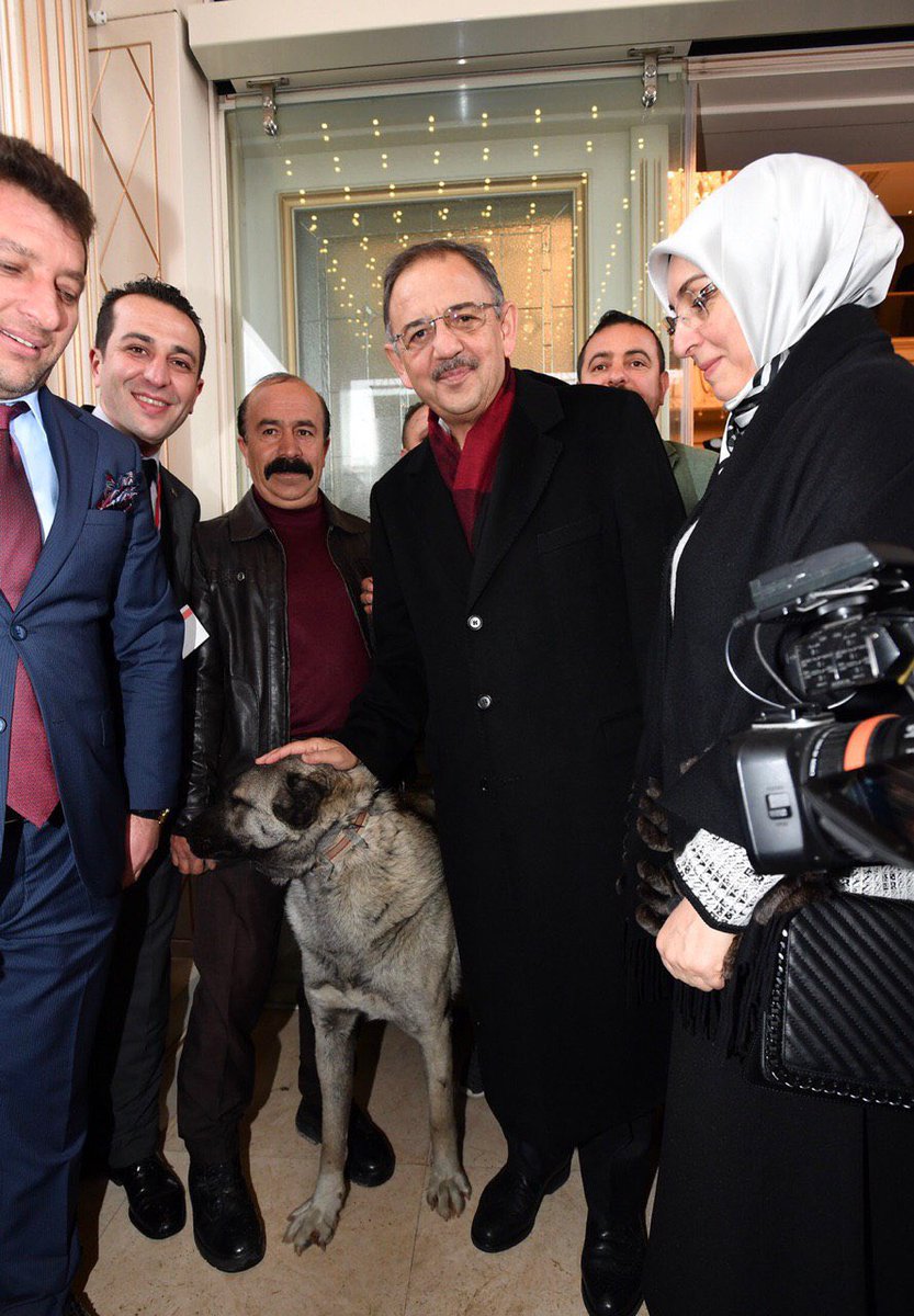 Ankaramızda yaşayan Sivaslı yiğidolarımızın düzenlediği programa ailem ve Sivas Milletvekillerimiz ile katıldık.

Havası sert, insanı mert Sivaslı kardeşlerimize teşekkür ediyorum. Rabbim kardeşliğimizi kuvvetlendirsin.