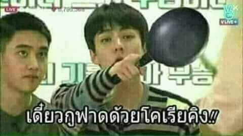 RM JJ are healing & Cats lover🥰 SHP&Laz aff. tweet media