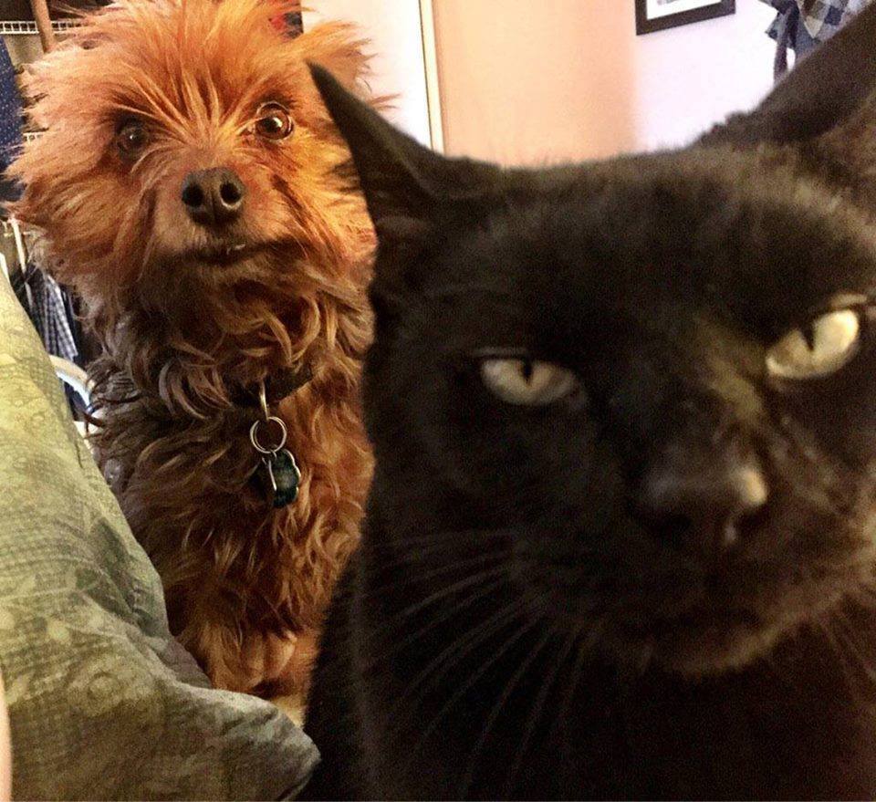 ngaio420's tweet image. What is the name of their mixtape?