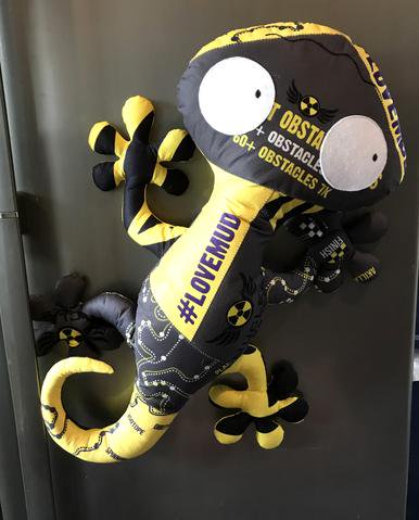 emmajg's tweet photo. Eeeeeeeeeeee @OCRBears now have Larry the Lizard. He's adorable. Want one 💗🦎 
I'm thinking of using the new 2019 @thewolfrun t-shirts as getting 2 of each this year.  https://t.co/pqnRzJPyMc

#ocrbears #ocr #mudrun #wildrunning #parkrun #wolfrun #toughmudder #lovemud https://t.co/X0Y8fylSE8