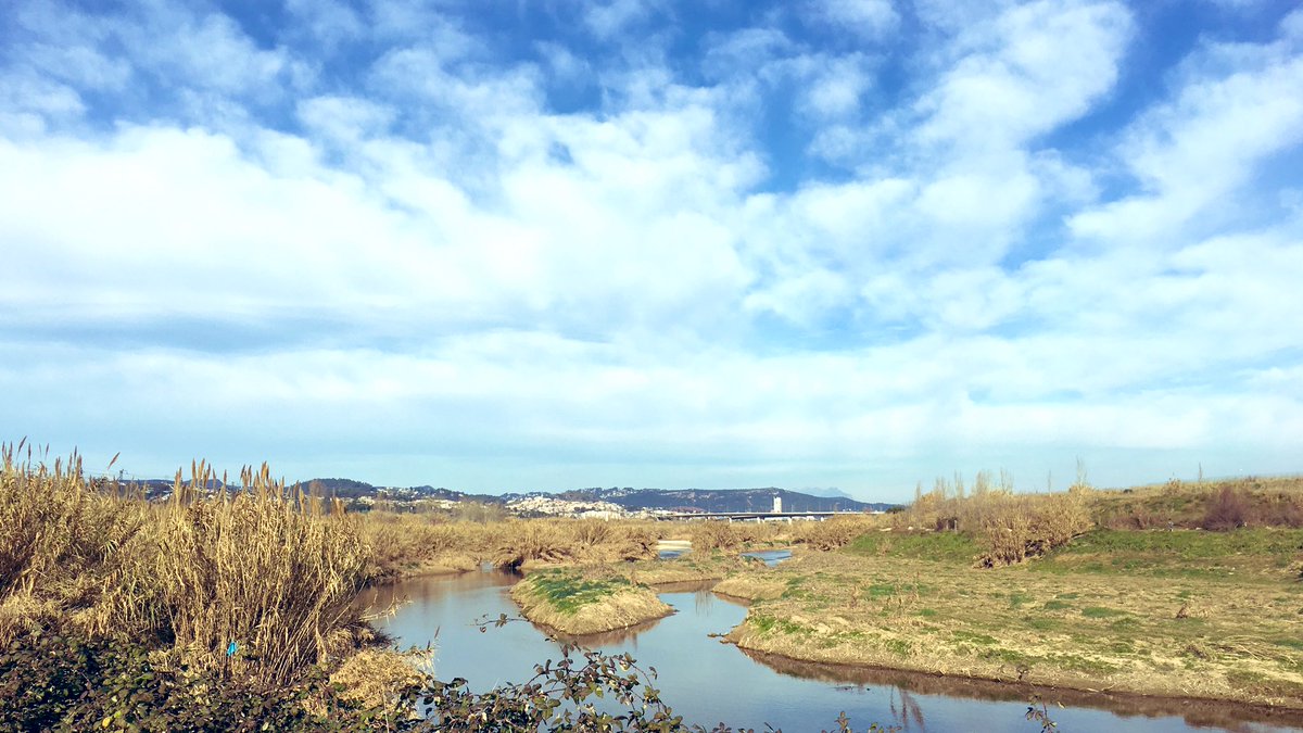 AlbaRosello's tweet photo. “Voldria ser ocell, ballar com balla el temps, fugir com bufa el temps” #diumengesalSol #BaixLlobregat #rodada https://t.co/1P3ETxMcJr