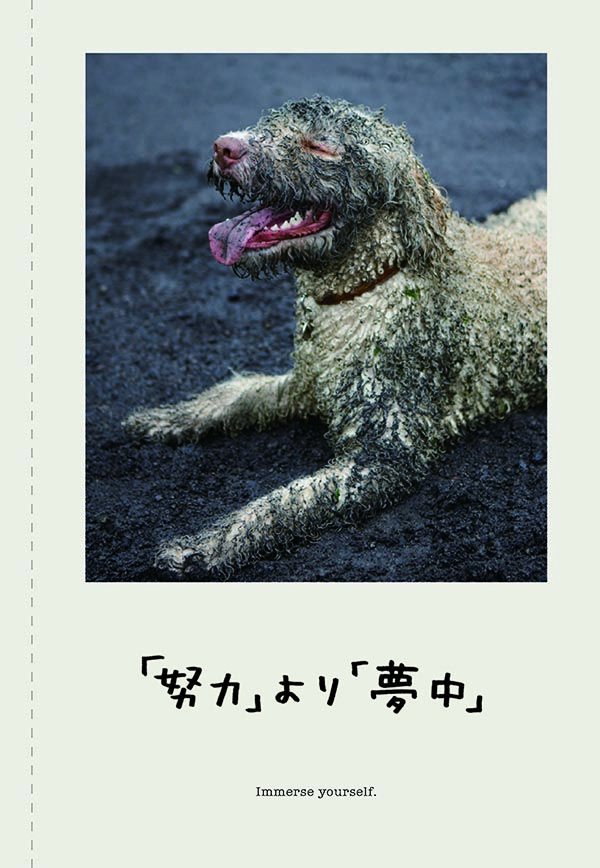ダ ヴィンチニュース 犬の写真を見て癒されながら ゆるーく処世術を学んでみよう 愛嬌あるワンコと偉人の名言 がコラボ 仕事や遊びを思いっきり楽しむ65の処世術 K T Co S5macw8bys 犬 イヌ 名言集 ダ ヴィンチニュース 犬の写真を見て癒されながら ゆるーく処世術を学んでみよう 愛嬌あるワンコと偉人の名言 がコラボ 仕事や遊びを思いっきり楽しむ65の処世術 K T Co S5macw8bys 犬 イヌ 名言集