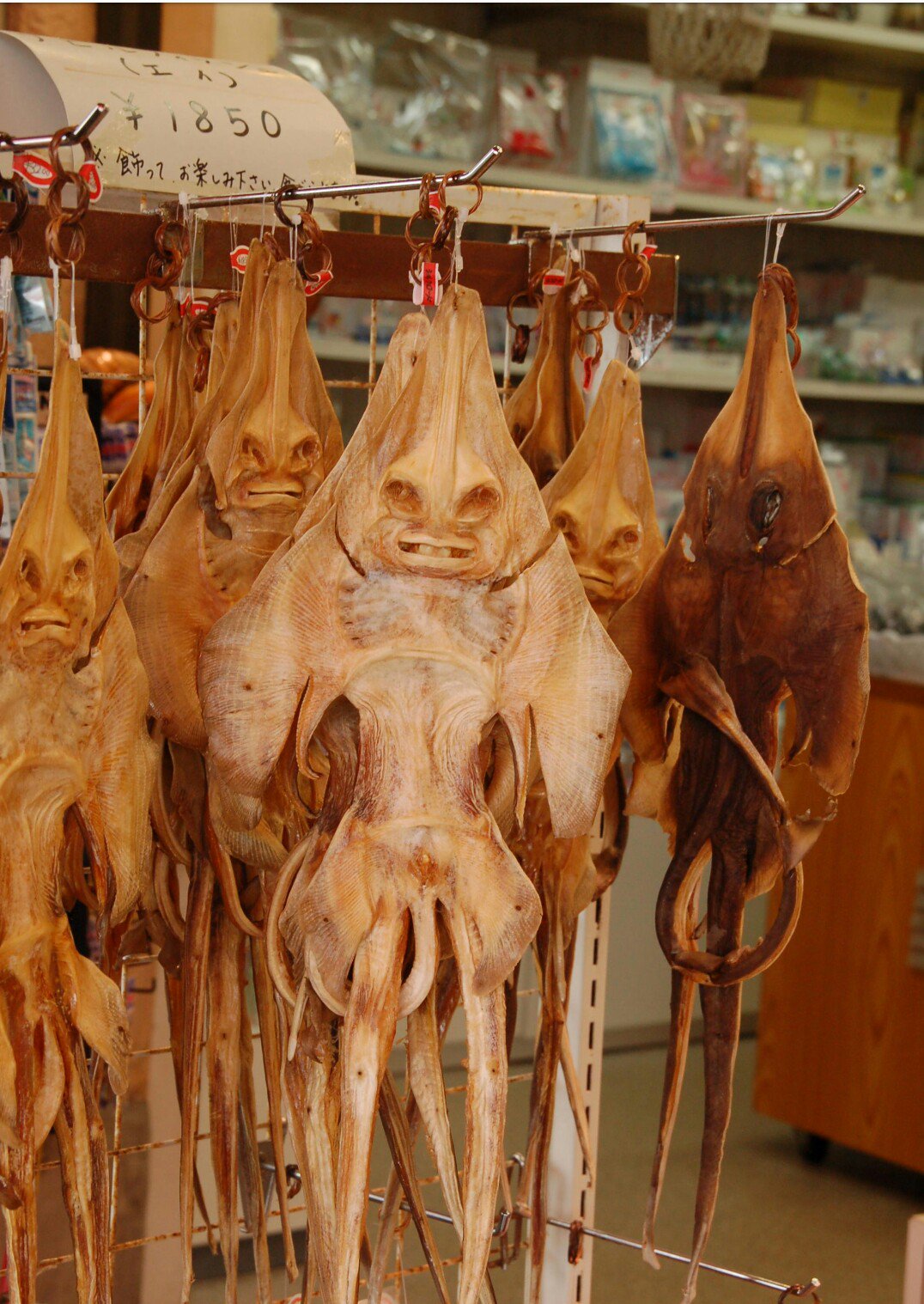 ふれんじぃ エイの干物って中々グロいよね 鉄腕dash T Co Panimno66y Twitter ふれんじぃ エイの干物って中々グロいよね 鉄腕dash T Co Panimno66y Twitter