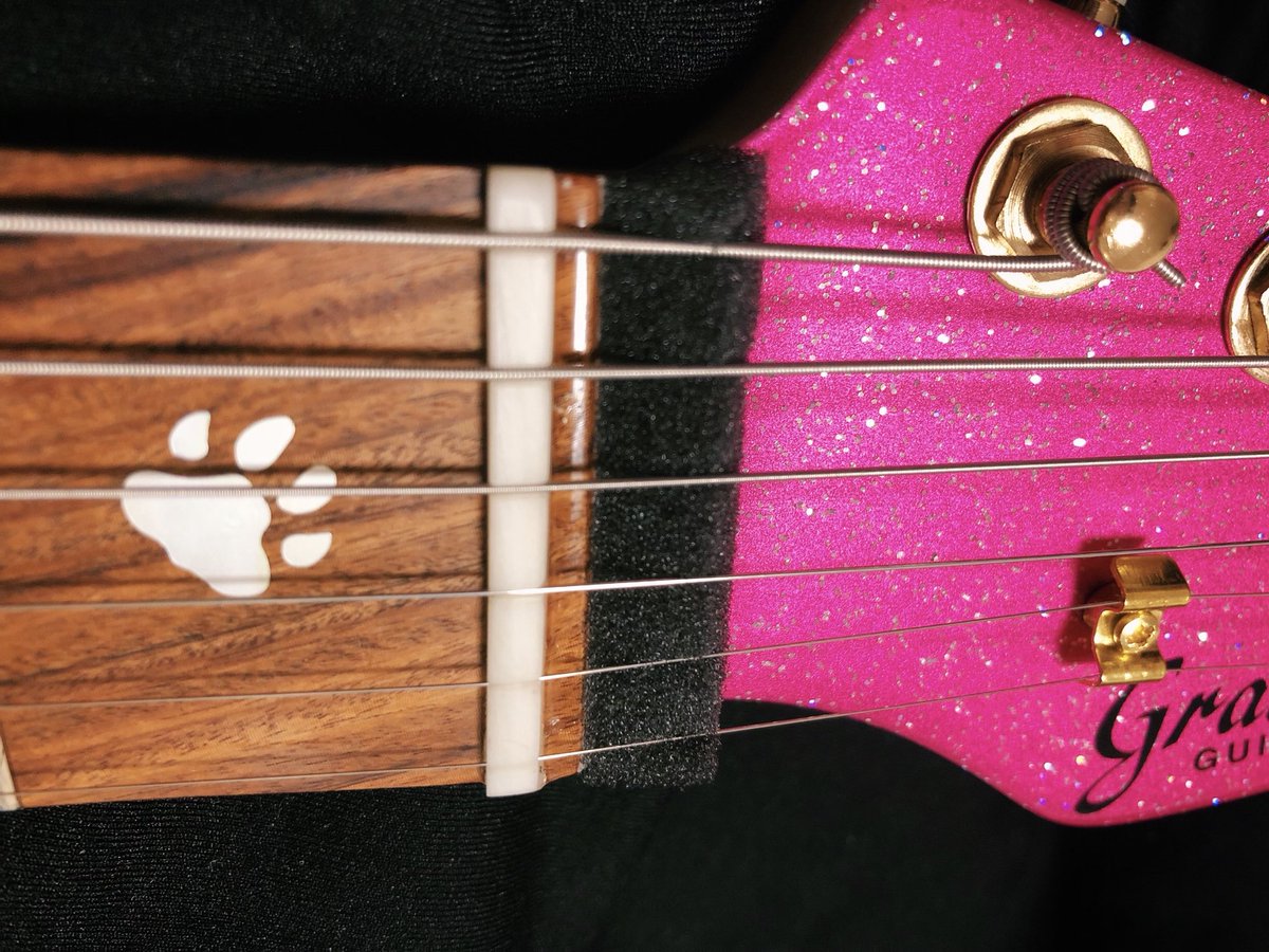 Grass Rootsのミニピンクちゃんもスポンジ処置してタイトにしました