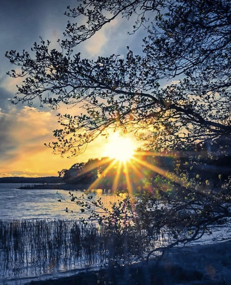 Mkarina Neuburger On Twitter Love Comforteth Like Sunshine After Rain Venus Amp Adonis Shakespearesunday Hollowcrownfans Https T Co Mdn3mkvnua Twitter