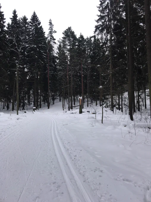 2月のフィンランド、当たり前のように氷点下で森では散歩中の大型犬ぐらいしか生き物の気配がなかったのに、時折シジュウカラの声が響いていたのが印象的。あんなに寒くても生きていけるんだなー。 