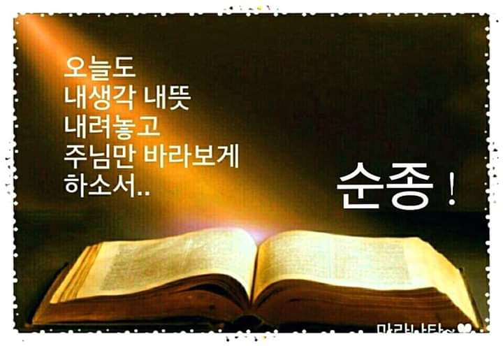 한미경 (@hmk8618) on Twitter photo 