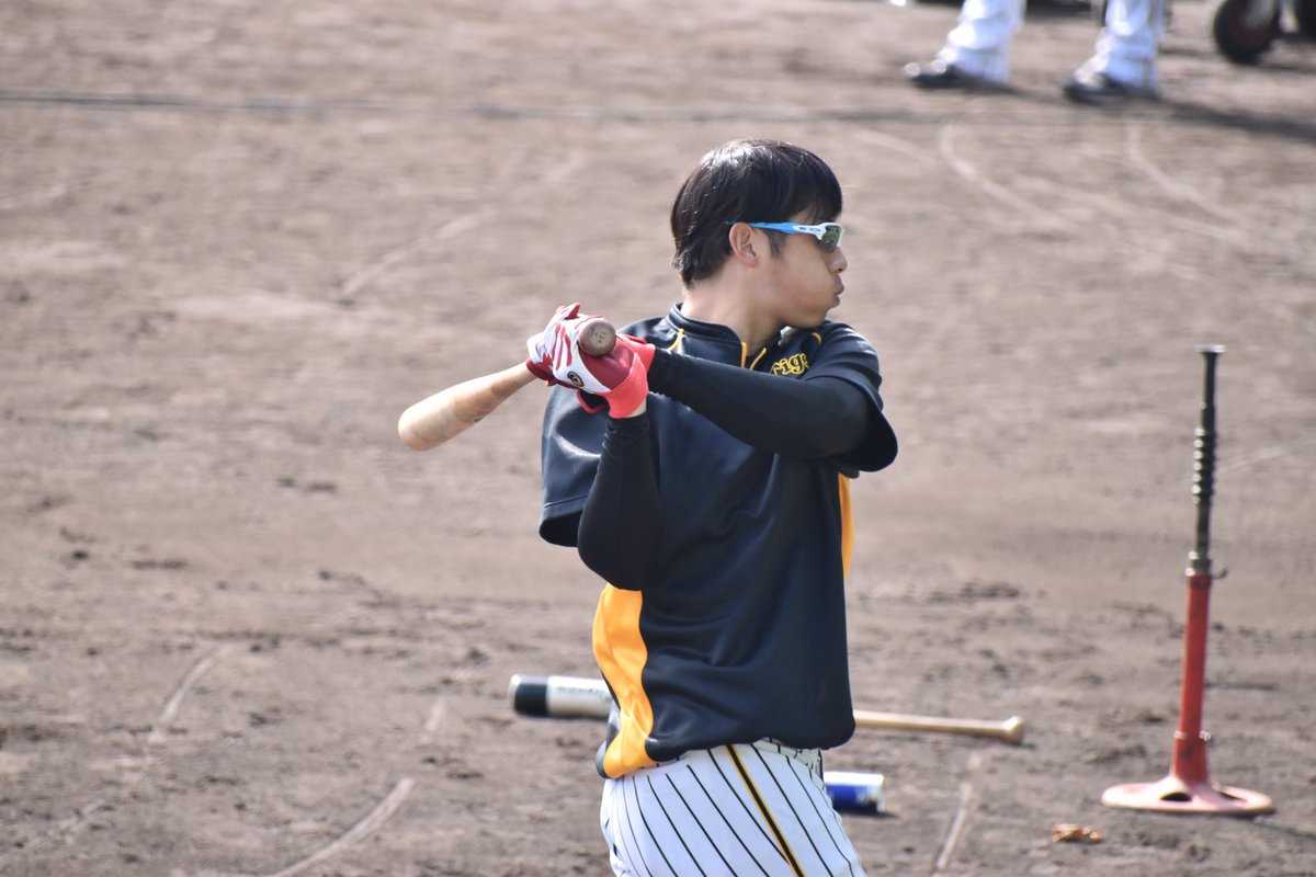 とらほー速報阪神・横田慎太郎が2軍キャンプ順調「良い方向にいっている」コメントする