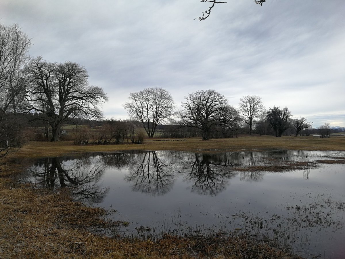 dialogine's tweet photo. Büsi han i kei gseh, hüt am Chatzesee. Defür Hünd. Und Entli.
#Katzensee #Sonntagsspaziergang https://t.co/IJmDxXsfCy