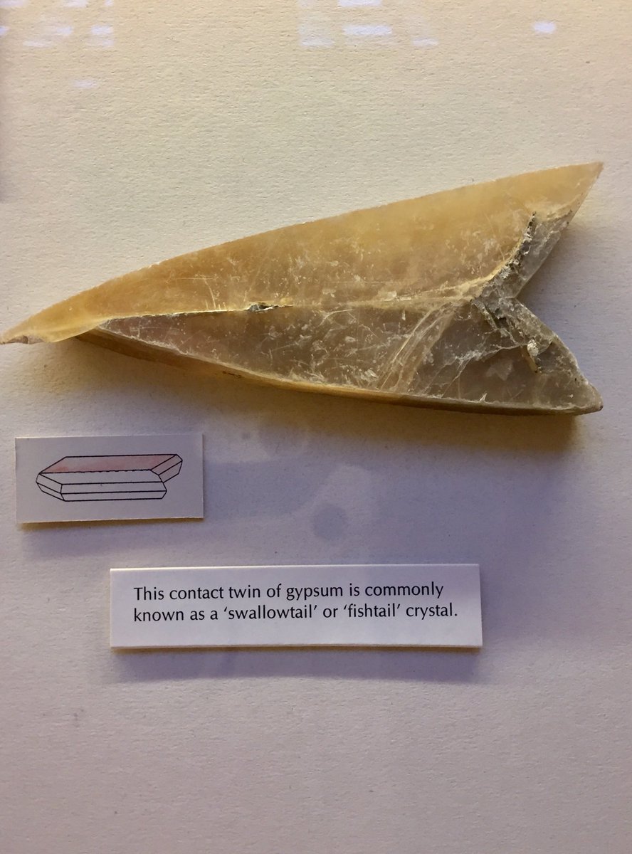 Theresa_May_PhD's tweet photo. More examples from the museum @SomersPark5ZM #mathsinnature #museumlife #crystalgeometry https://t.co/e9YkACk5pE