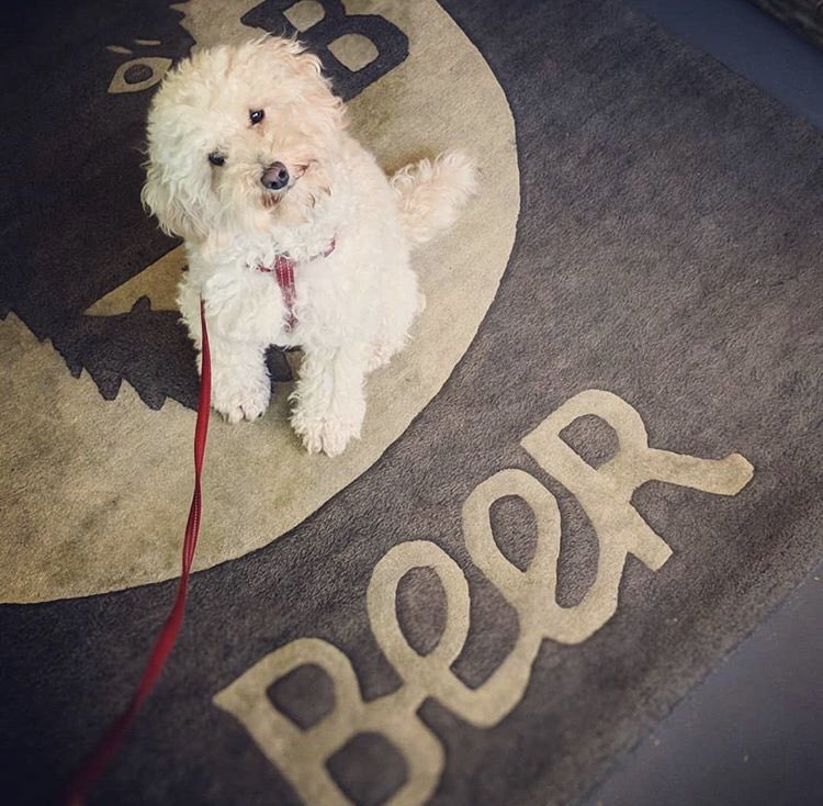 A Review By Brew tweet media