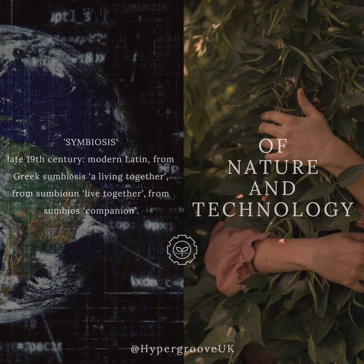 The companionship of nature and technology for human-centric digital solutions, inclusive growth and sustainable innovation. 🌲

#agritech #ukagritech #foodsystem #urbanfarming #verticalfarming #permaculture #landstewardship #millennial #foodeconomy #foodrevolution