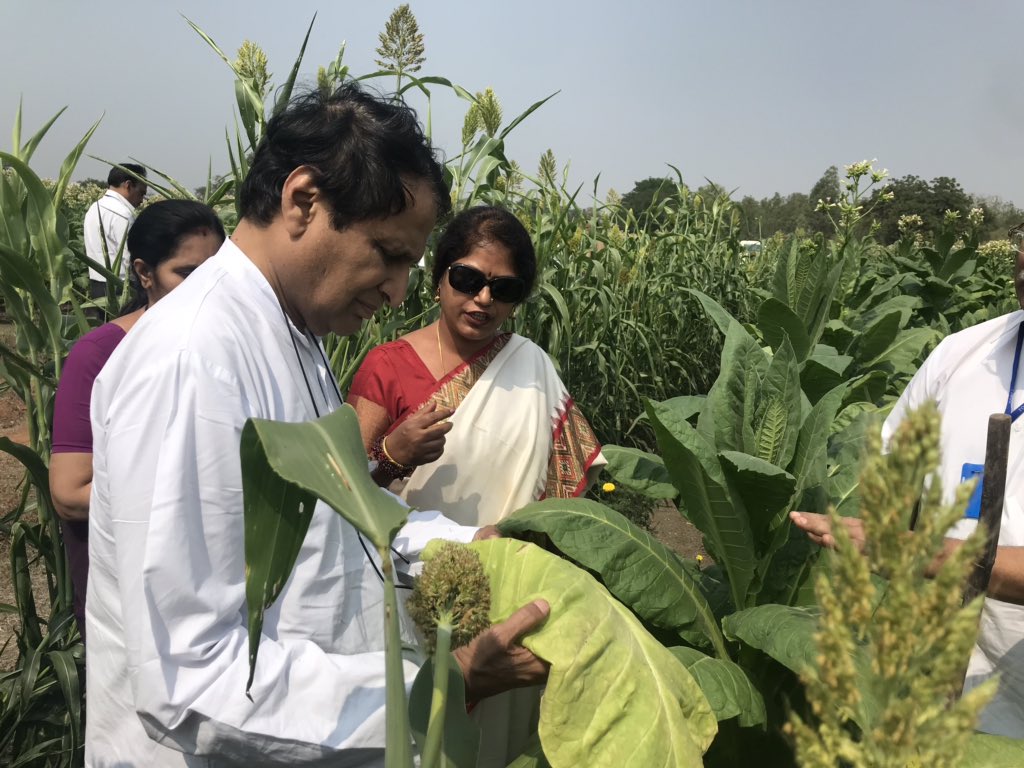 guntur tobacco Visited Central Tobacco Research Institute (CTRI), #Guntur Guntur today.  Learned about their research and crop enhancement programmes