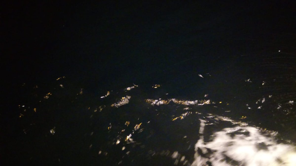 WaveTechCan's tweet photo. Lighting #Led for #sea in #LaPalma by @WaveTechCan https://t.co/2ETZxja80A