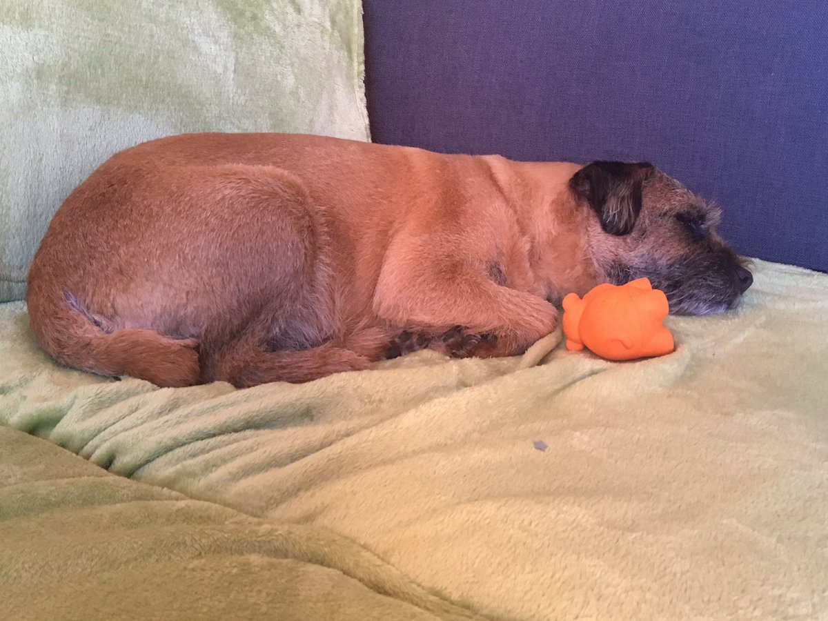 Sleeping right next to my favourite toy so nobody pinched it! #weebroondug #itsgood2give #BTposse