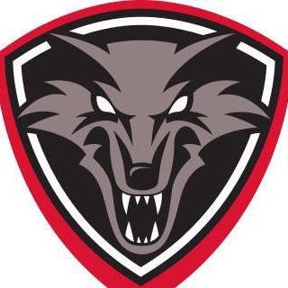 Jetzt gleich meine Mannschaft anfeuern, es geht um wichtige Punkte für den Aufstieg in die Oberliga 🐺würde so gerne mitspielen aber muss noch leider Pause machen wegen einer schweren Knie Op 😩 und wenn ich wieder zu Hause bin schmeiße ich den Stream an! #wolfsrudel #Handball