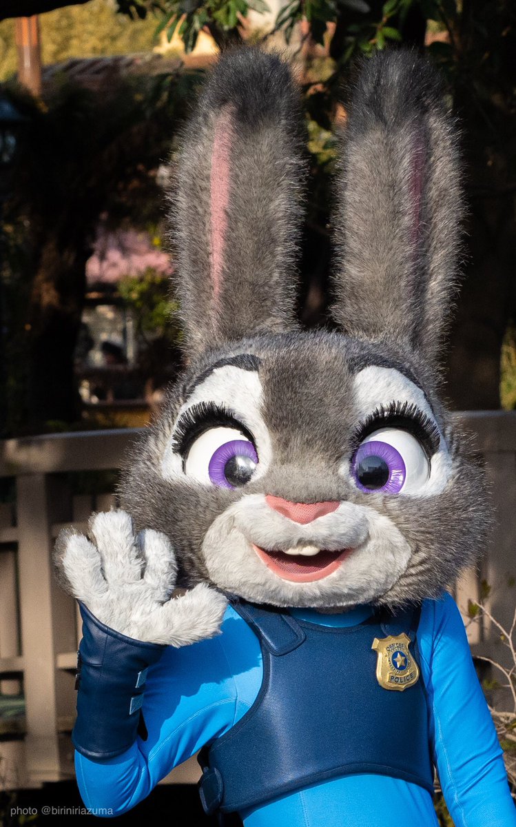 ビリーあずまだよ ジュディ可愛いよ ジュディ ジュディ ホップス 東京ディズニーランド 巡査 ズートピア ズートピアはいいぞ