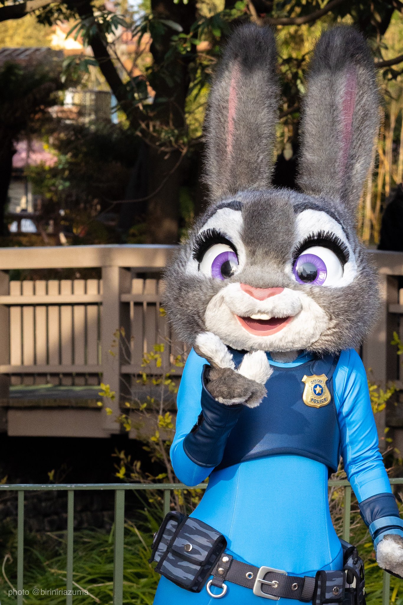 ビリーあずま ジュディ可愛いよ ジュディ ジュディ ホップス 東京ディズニーランド 巡査 ズートピア ズートピアはいいぞ T Co Gbireoguth Twitter