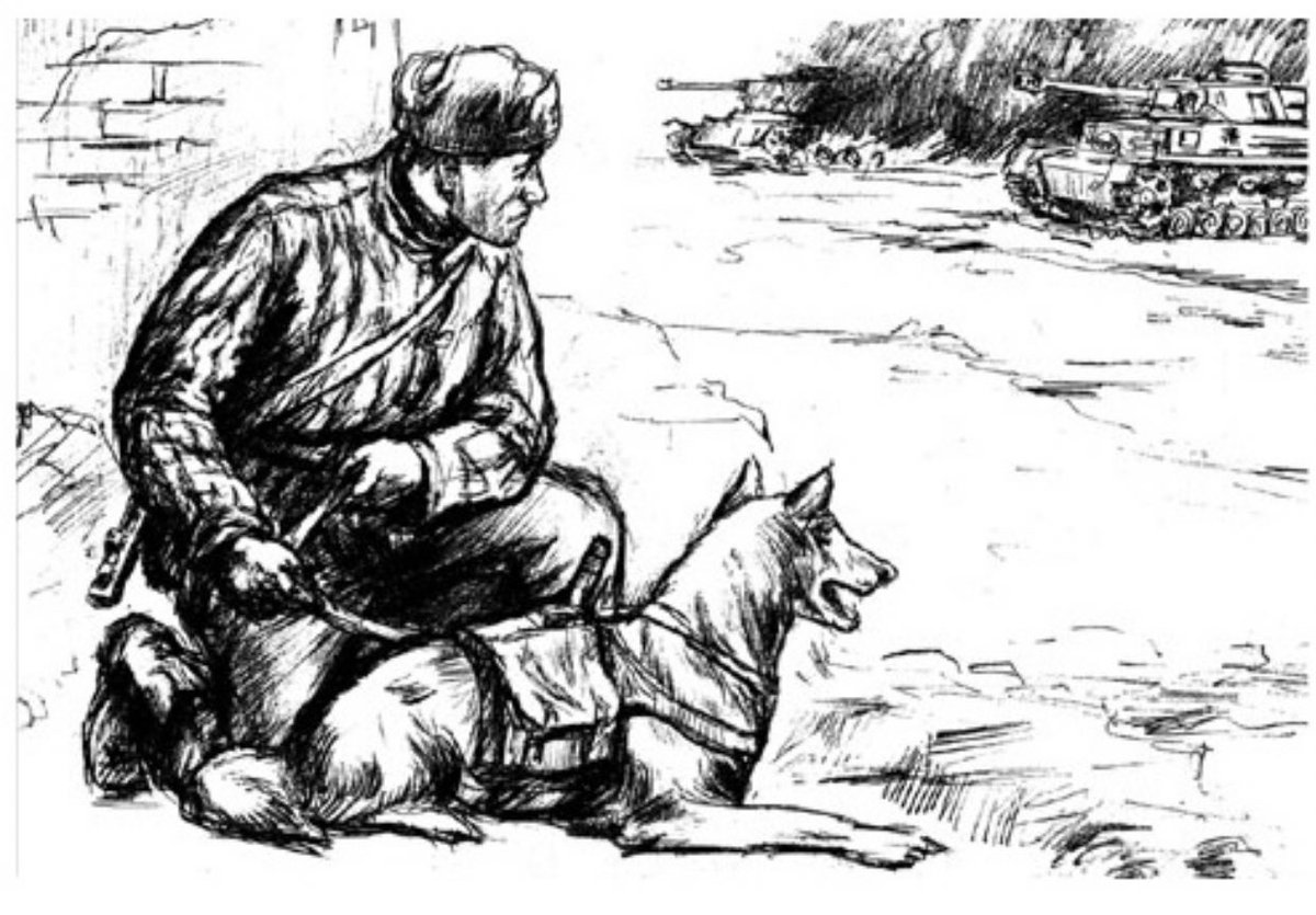 Картинка солдат с собакой