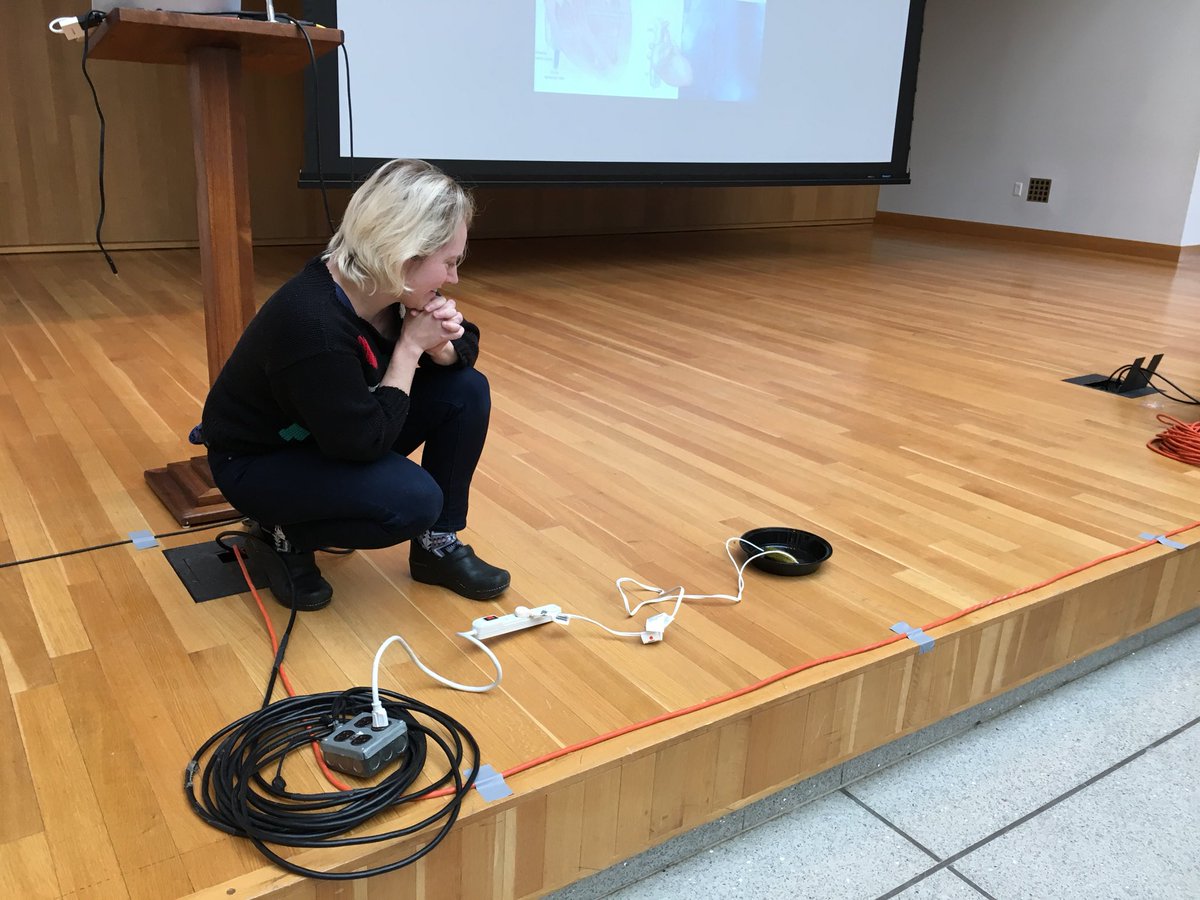 GoucherDigiArts's tweet photo. “Don’t try this at home because it could kill you” @_b_crawford and her electric pickle at #pcd2019 yesterday! https://t.co/o6isfPld5O