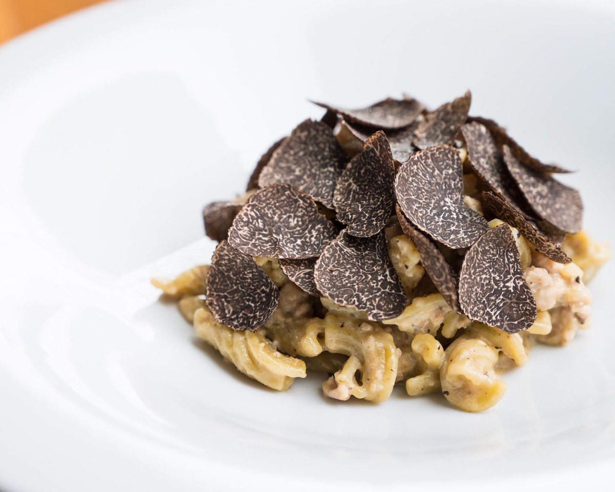 Back on our Yorkville brunch for Italian Truffle season. 🇮🇹 Torchetti alla norcina ~ Ciociare spiced sausage, pecorino toscano crema &amp; Umbrian pregiato truffles. #Yorkville #WeekendBrunch