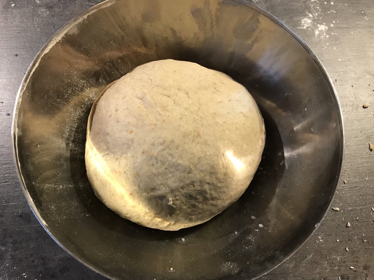 fabsh's tweet image. Right. That’s looking good so far. Now he needs to rest for an hour... #FirstBread #Burebrot
