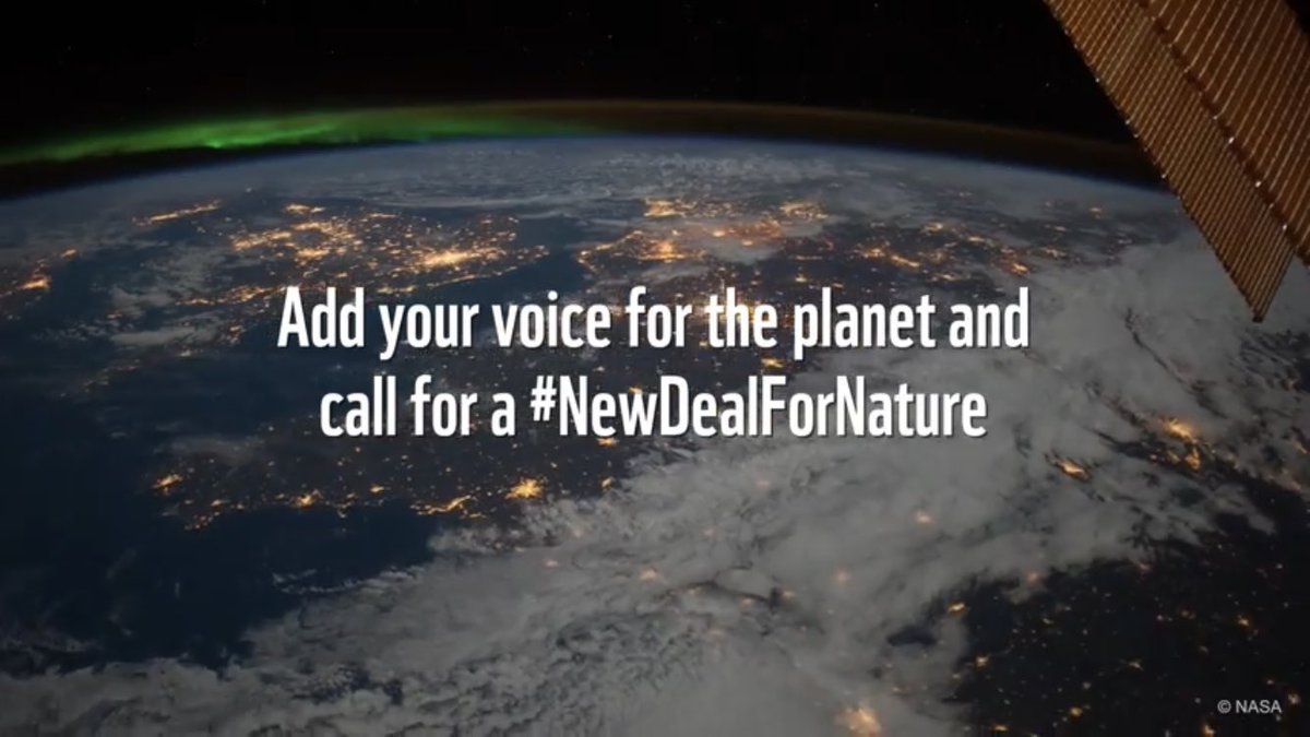 Marco Lambertini tweet media