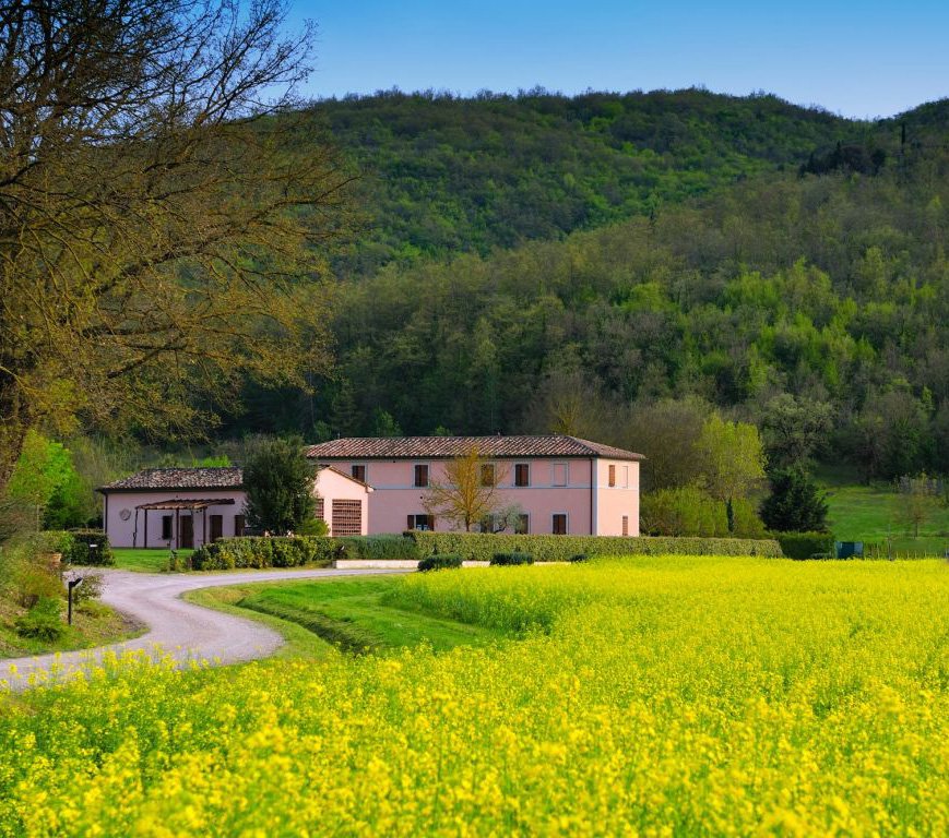 Come to Perugia and get ready for your next recording project.
Preparing To Record: For Singers and Instrumentalists May 2-6, 2019
ow.ly/a6q750ks1w8. Sessions include: 
How a jazz vocal record gets made 
The Art Of Arranging
Rhythm: The Secret Ingredient