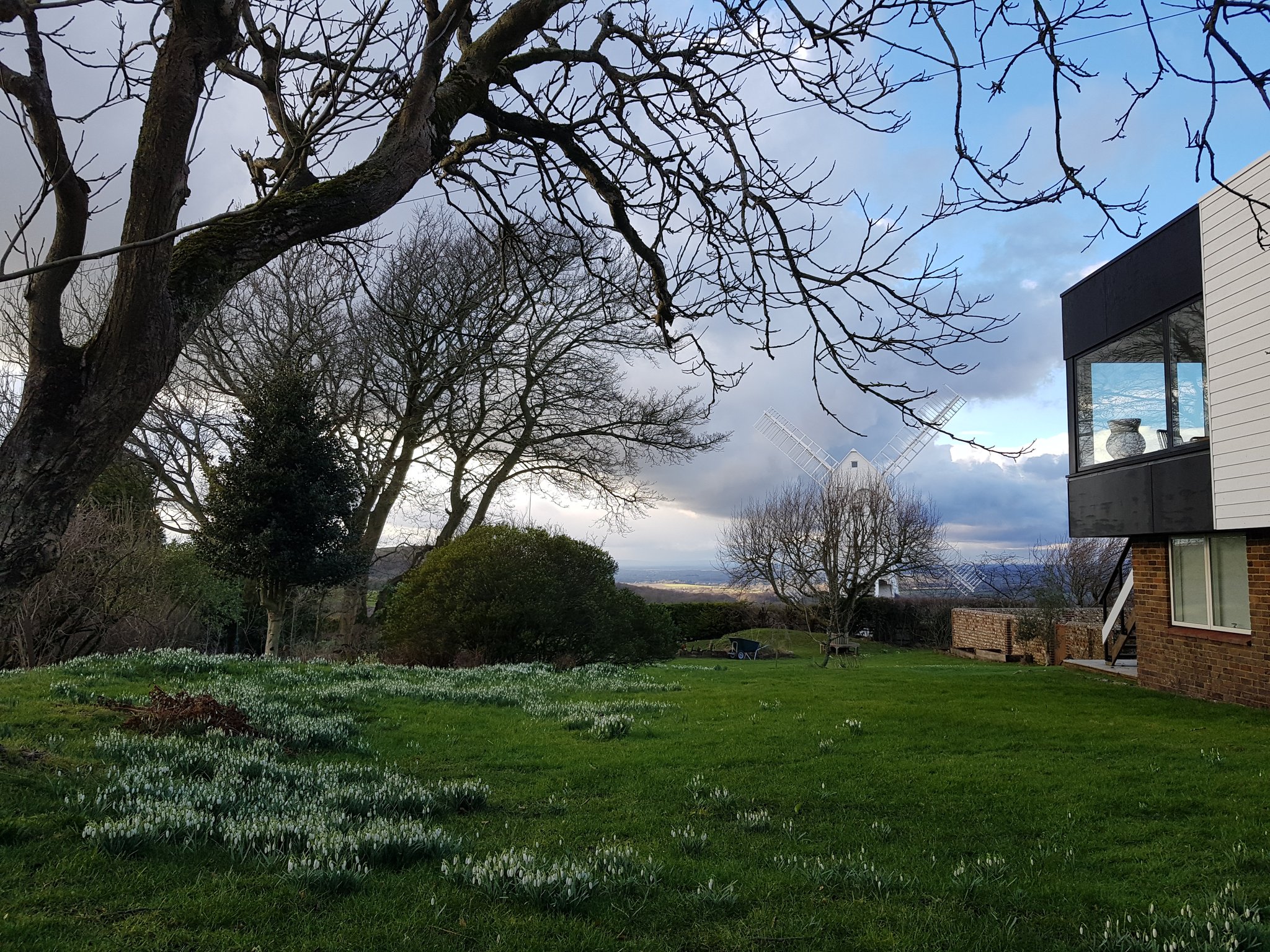 jo maugham on twitter a glorious english almost spring afternoon https t co fqiascwwox twitter