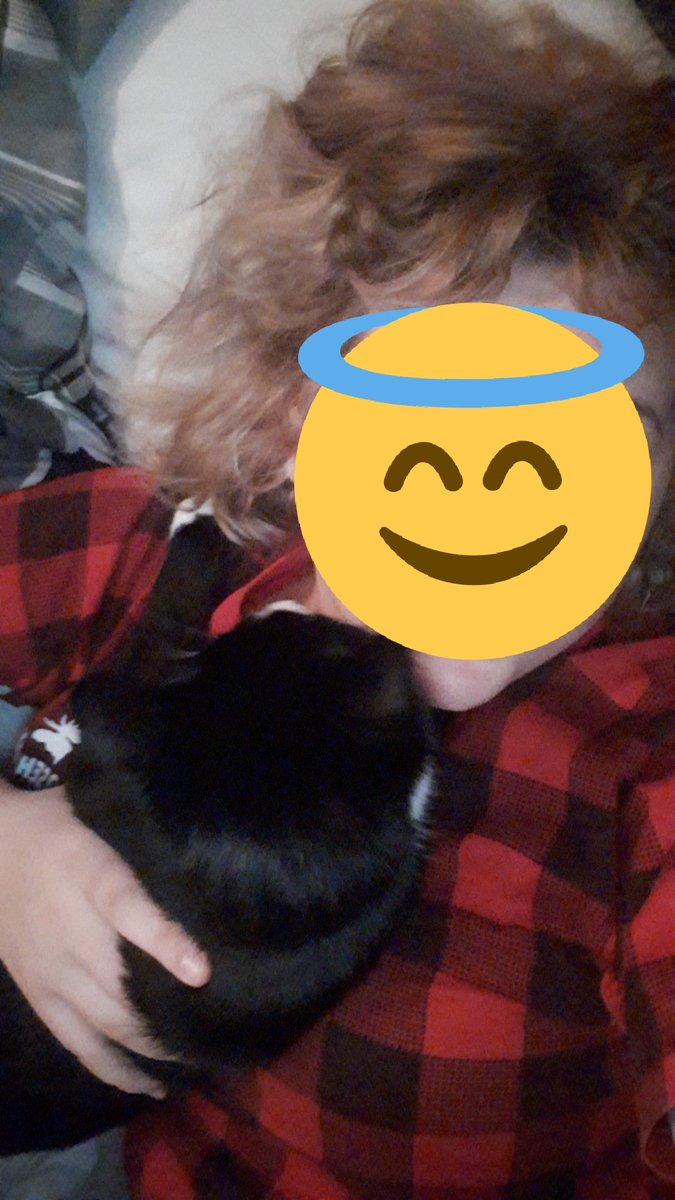 TinyTheCat2's tweet photo. #selfie mom doesn't like her face on my account if you would like to see her follow her insta - hannah_dapper_wilson https://t.co/zmMYBBcC0R