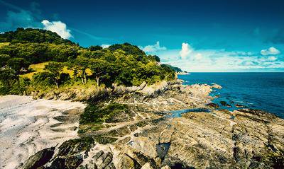 The Little Map Company tweet media