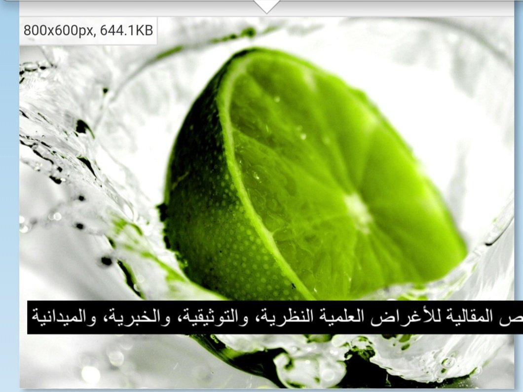 Talal1's tweet photo. فيه مواقع وبرامج للتصميم أو العروض وغيرها، لكن عيبها ماتدعم اللغة العربيه ويجيك النص معكوس أحياناً أو يجي بصيغه غير مفهومه

الموقع هذا يحل المشكله
https://t.co/CJSZOmQx8W

اكتب النص بعدين convert
ثم انسخ النص من المربع زي ما يظهر

جربته على موقع لتعديل الصور ؛ وشوفوا النتيجه 👍 https://t.co/NULPJU6wkT