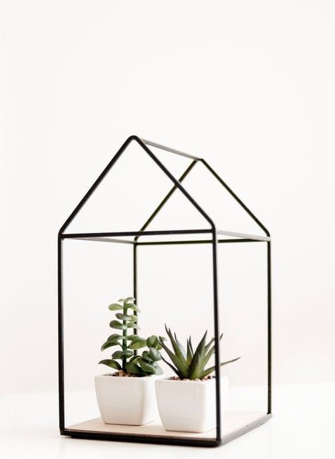 SocialWebJedis's tweet photo. Spring is almost here! Get your #Greenhouse noticed!
Call us @ 705 917 4591 for a free consult!
WebDesign, Social Media or Graphics, we have you covered! #SmithFalls #Caledon #NorfolkCounty #HaldimandCounty #Pickering #ElliotLake #QuinteWest #Ajax #Toronto #Montreal #Calgary https://t.co/qVYjUhLPod