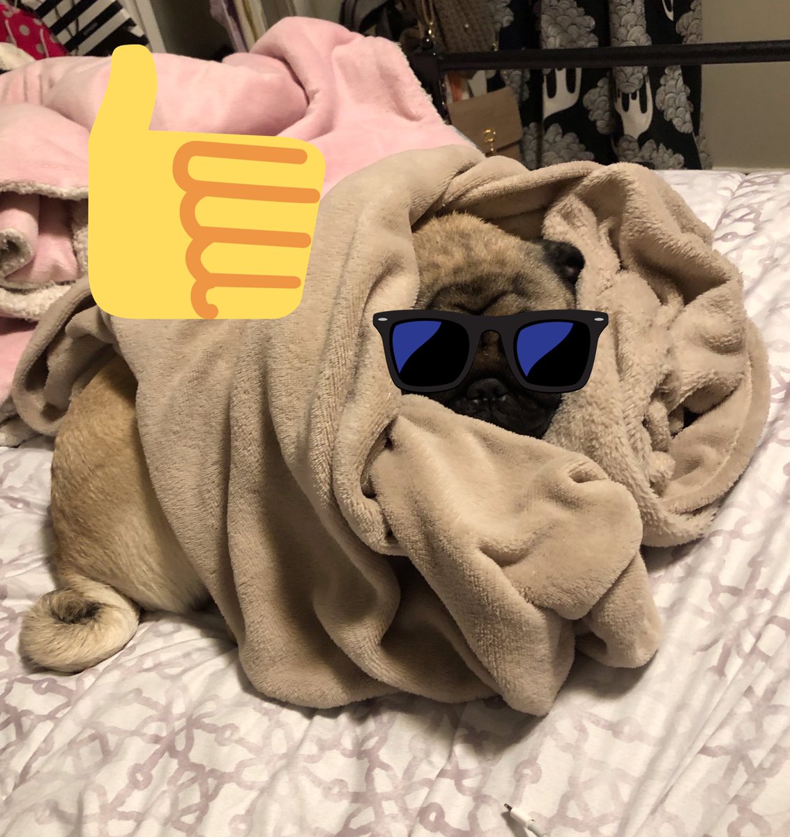 ElementsHigh's tweet photo. Bundle up! It’s cold out there. Rasta Frank just doesn’t like Winter but, does like to Chill at https://t.co/8XhaoIVpXZ #highelements #highfun #weedlife #cannabisculture https://t.co/1gNXN3oAnU